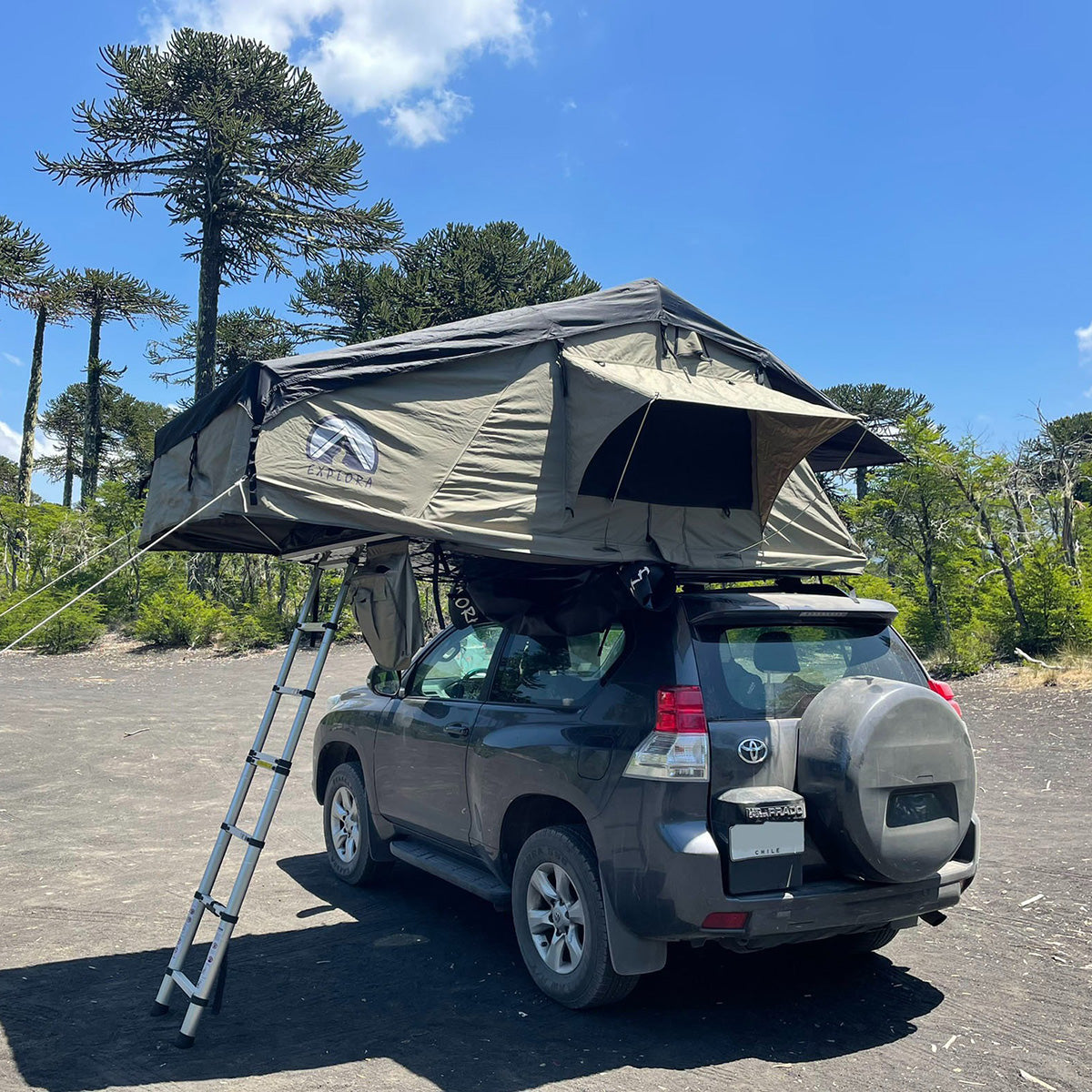 Carpa de Techo Raco